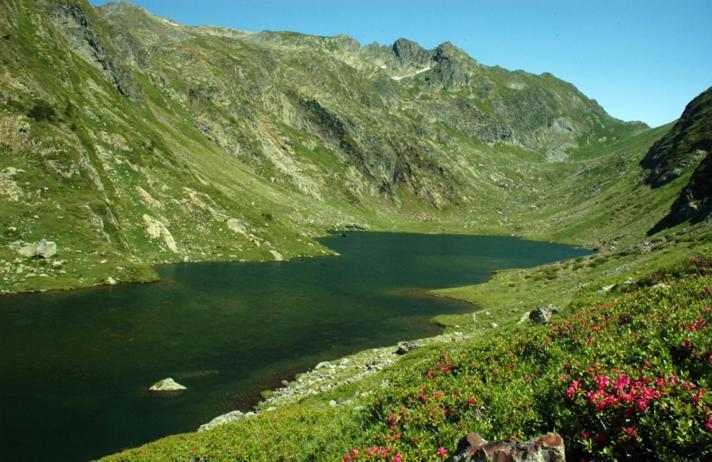 Apartaments Sort Pirineus Esterno foto