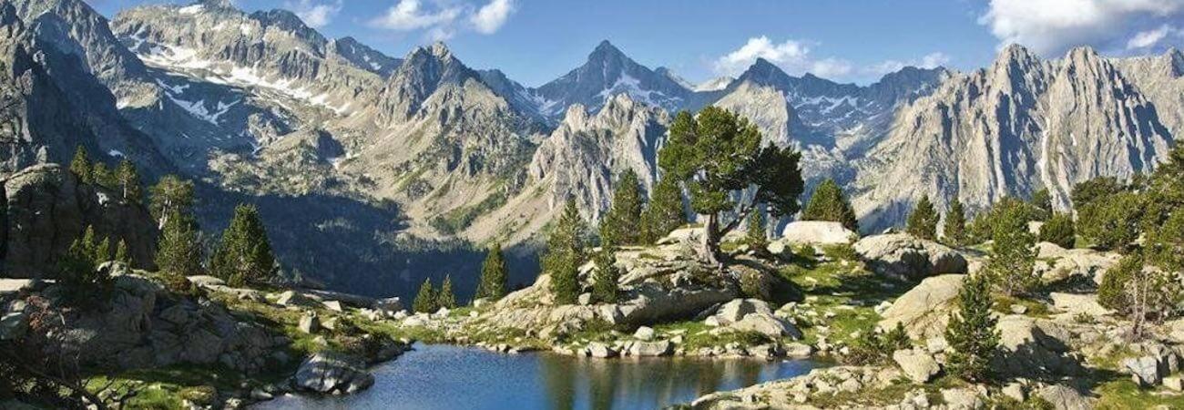 Apartaments Sort Pirineus Esterno foto